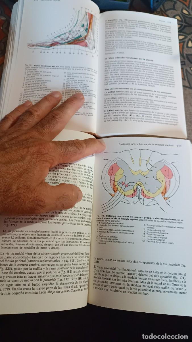Libros de segunda mano: MANUAL DE ANATOMIA HUMANA - Foto 13