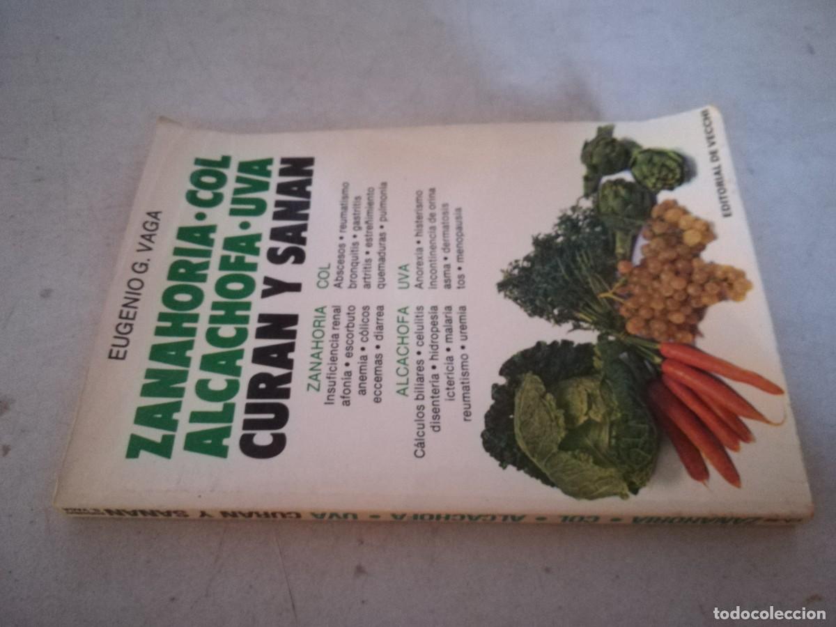 Gebrauchte B&uuml;cher: ZANAHORIA COL ALCACHOFA UVA CURAN Y SANAN / EUGENIO G.VAGA / TXT 128 / DE VECCHI
