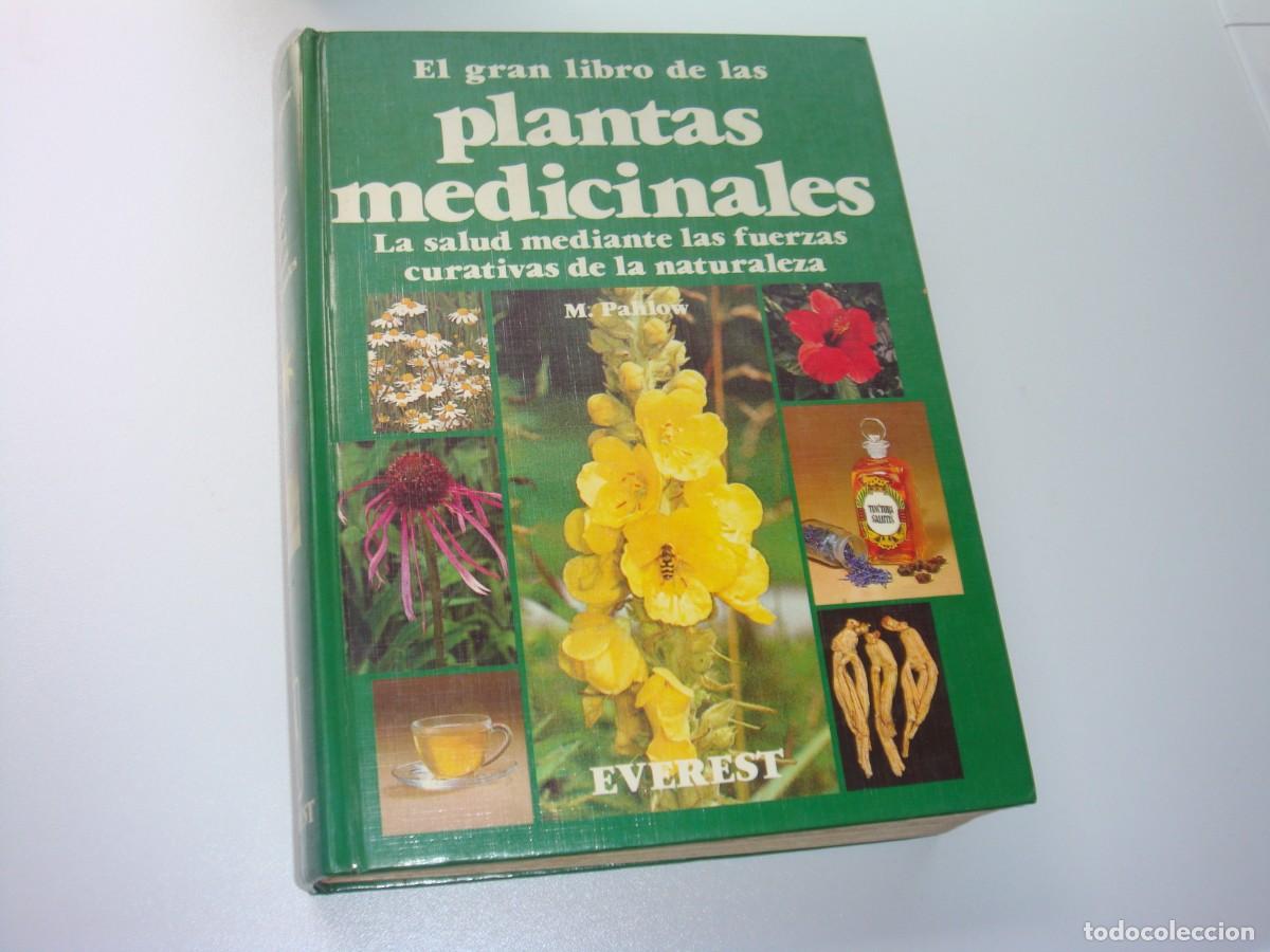 Libros de segunda mano: EL GRAN LIBRO DE LAS PLANTAS MEDICINALES EVEREST - Foto 1
