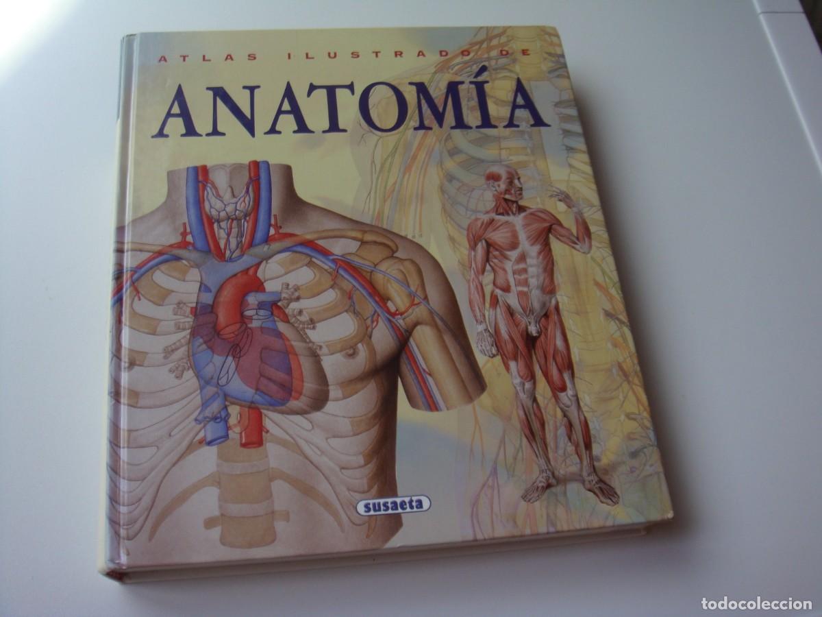 Libros de segunda mano: ATLAS ILUSTRADO DE ANATOMIA - Foto 1