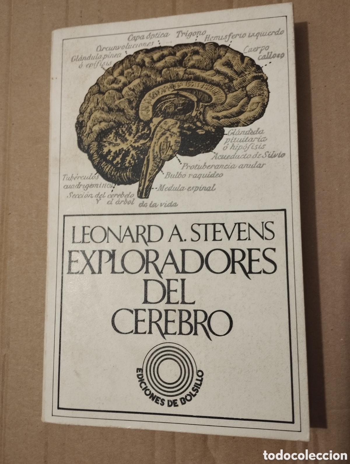 Libros de segunda mano: EXPLORADORES DEL CEREBRO (LEONARD A. STEVENS) - Foto 1