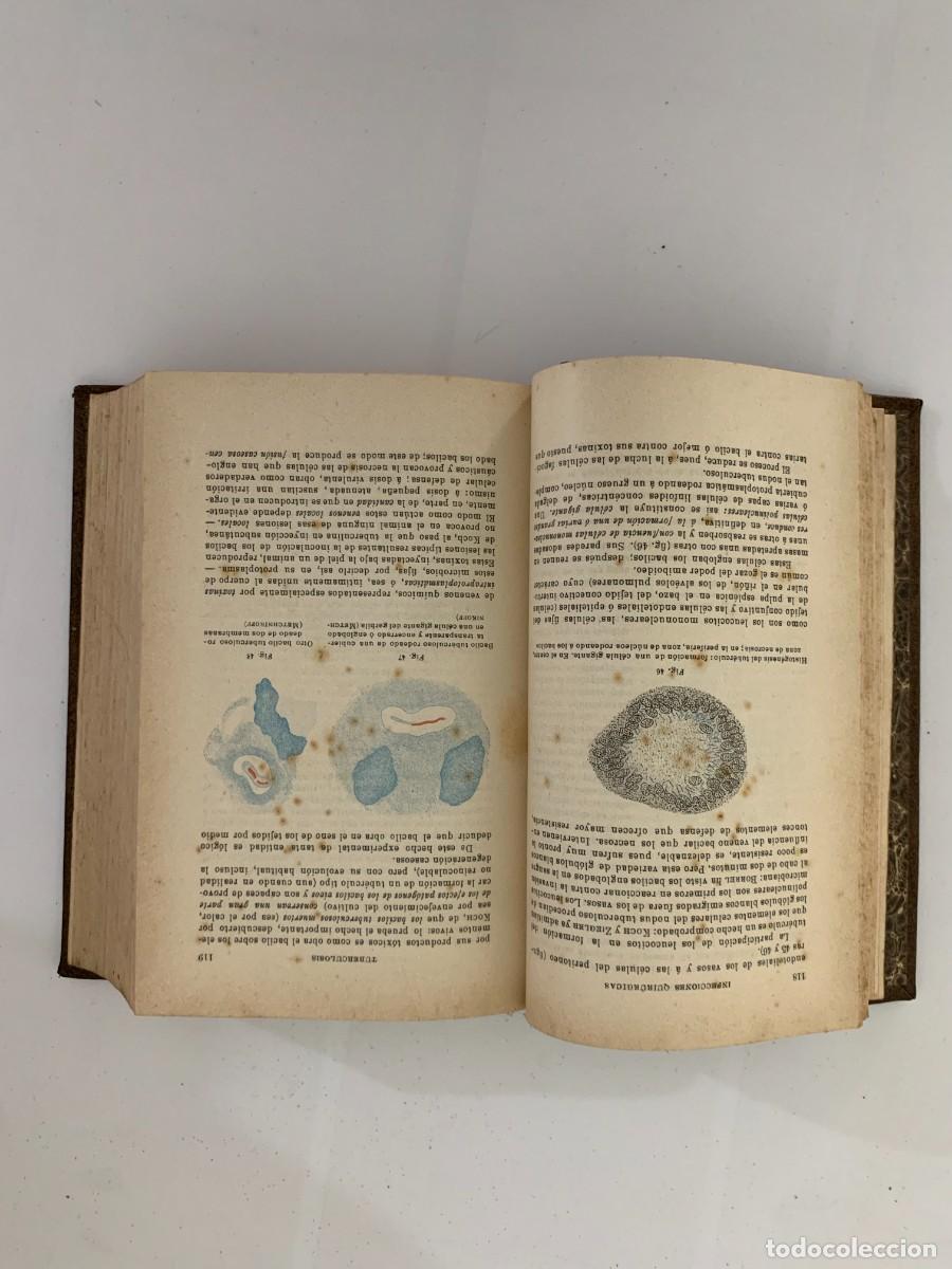Libros de segunda mano: Manual de Patolog&iacute;a Externa - E. Forgue - Foto 1