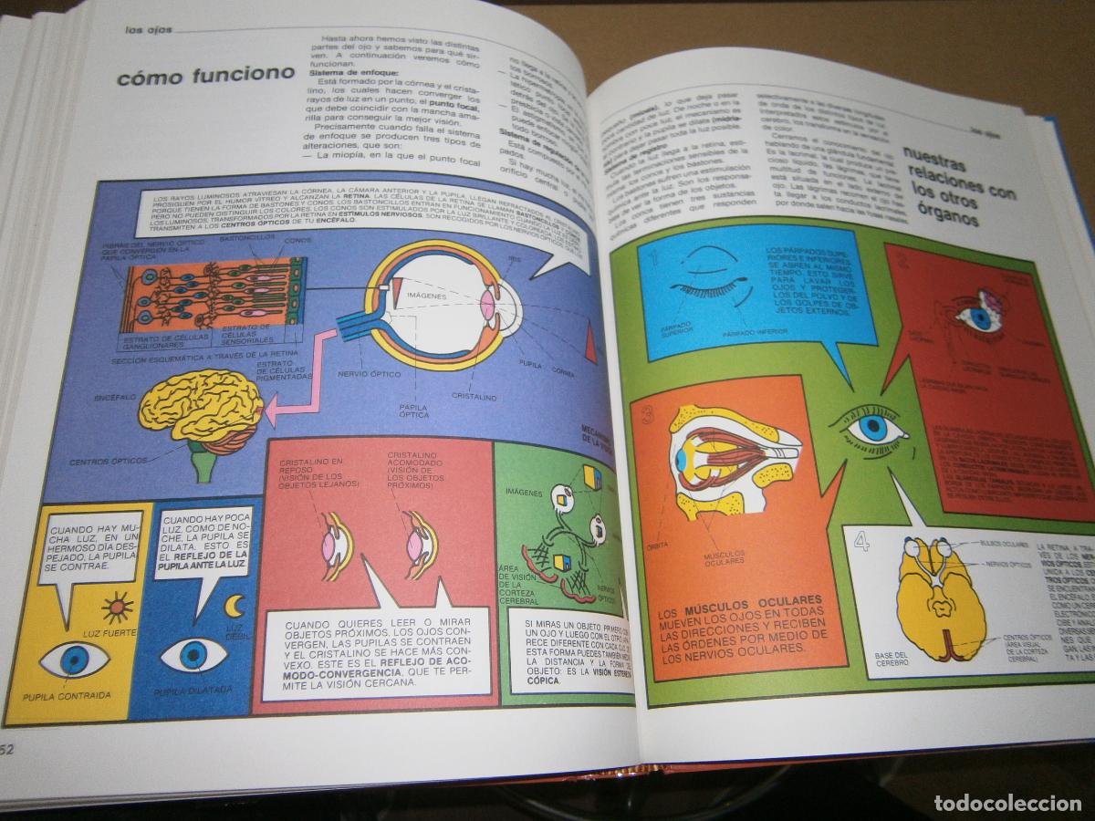 Libros de segunda mano: ANTIGUO LIBRO - EL CUERPO HUMANO - Foto 3