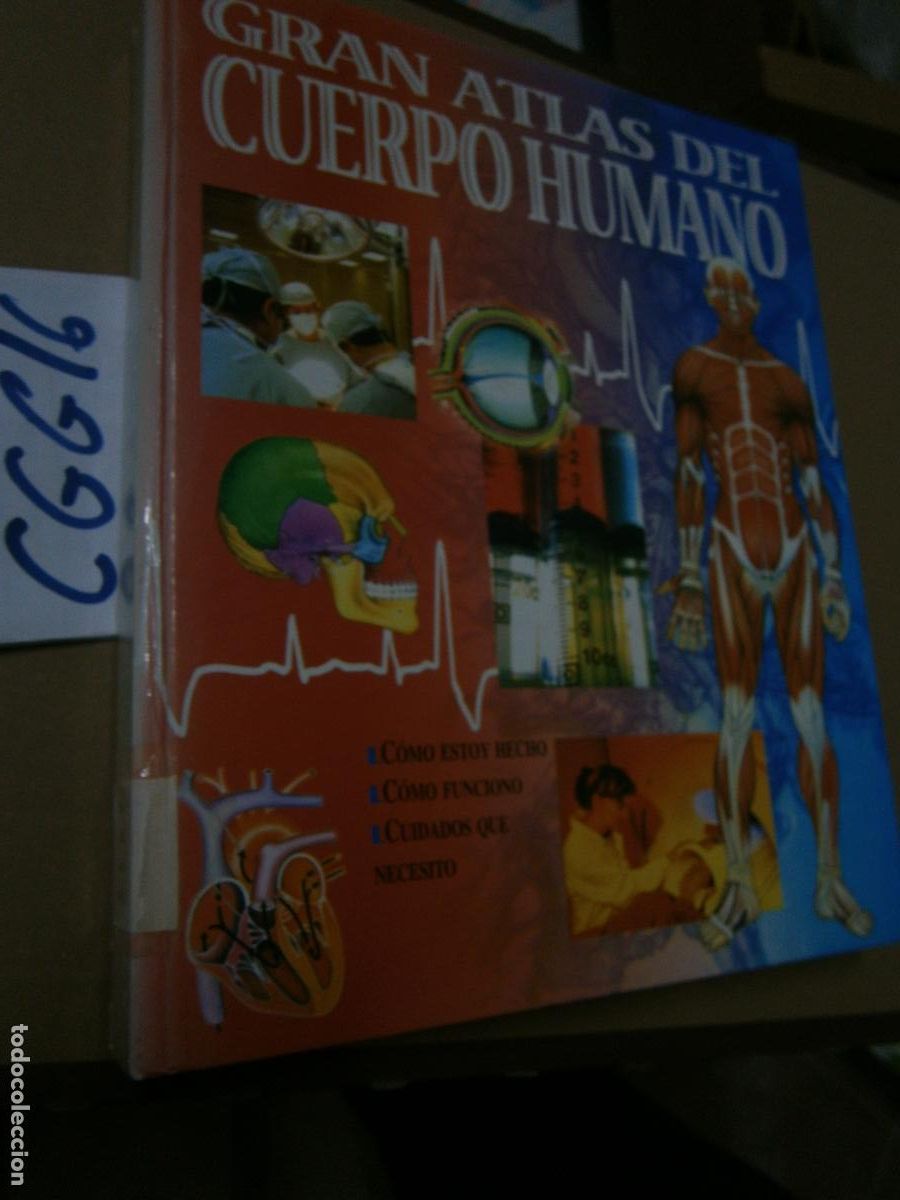 Libros de segunda mano: ANTIGUO LIBRO - EL CUERPO HUMANO - Foto 1
