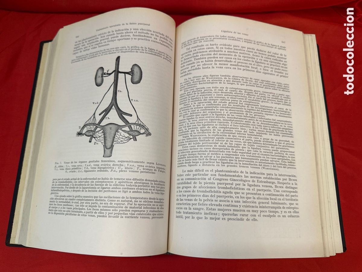 Libros de segunda mano: TRATADO DE OBSTETR&Iacute;CIA - A DODERLEIN 3 VOL&Uacute;MENES, OBRA COMPLETA - Foto 13