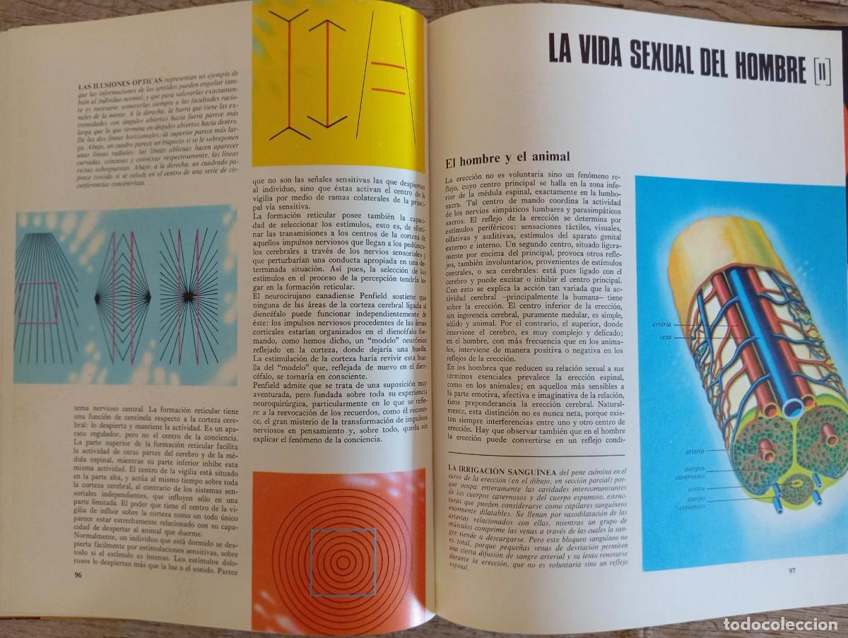 Libros de segunda mano: MI CUERPO Y YO - ED. DEL HOGAR - Foto 2
