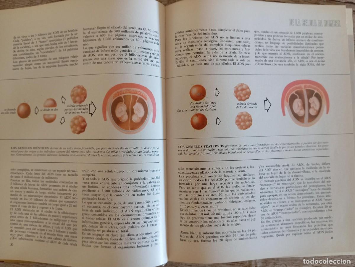 Libros de segunda mano: MI CUERPO Y YO - ED. DEL HOGAR - Foto 4