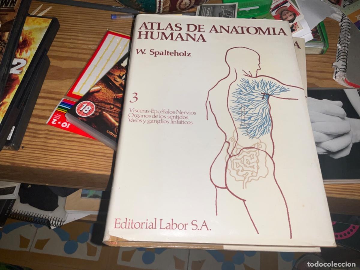 Gebrauchte B&uuml;cher: ATLAS DE ANATOM&Iacute;A W. SPALTEHOLZ TOMO III (3) VISCERAS ENC&Eacute;FALO NERVIOS &Oacute;RGANOS SENTIDOS VASOS Y