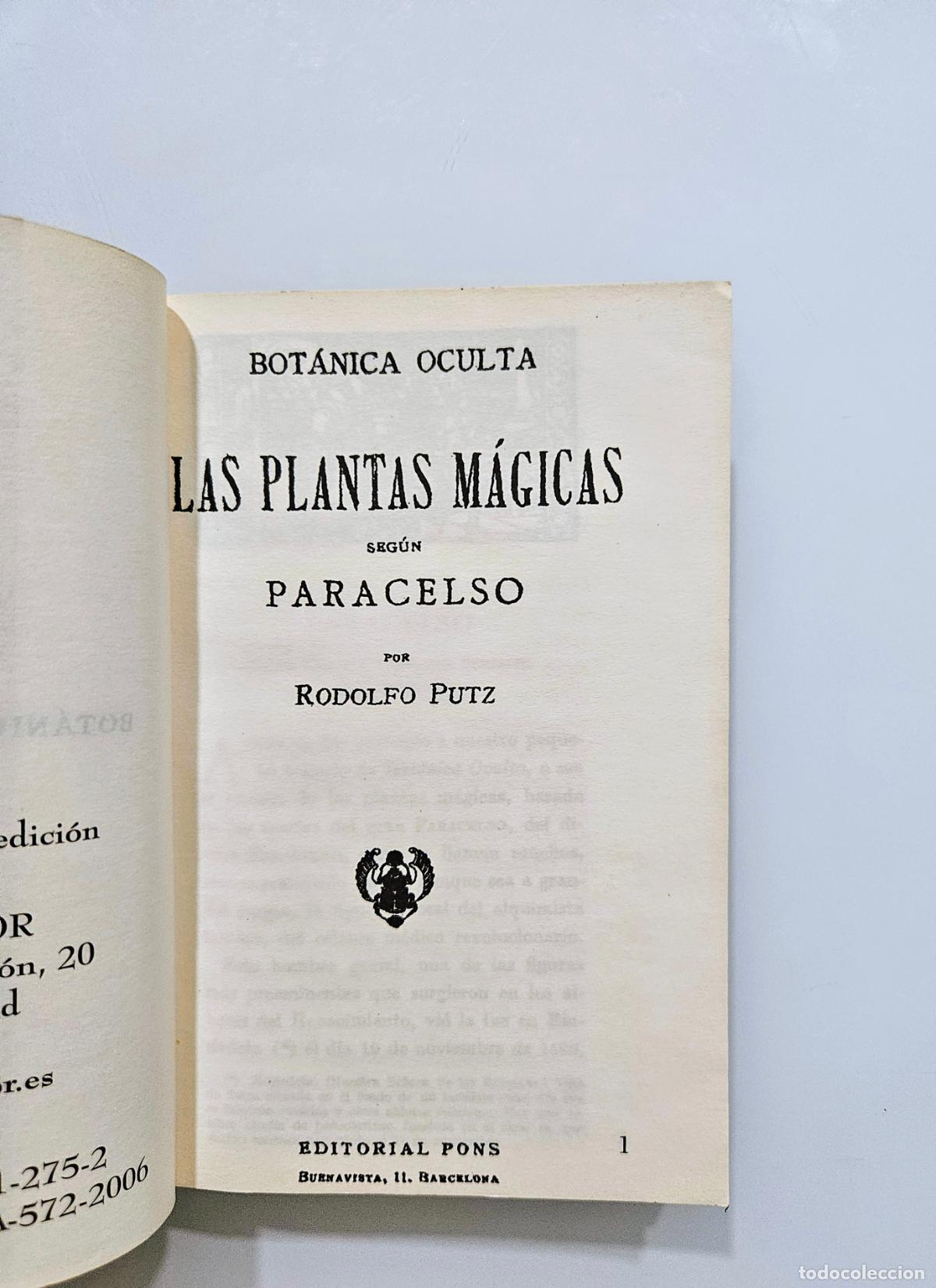 Libros de segunda mano: Las plantas m&aacute;gicas de Rodolfo Putz - Foto 3