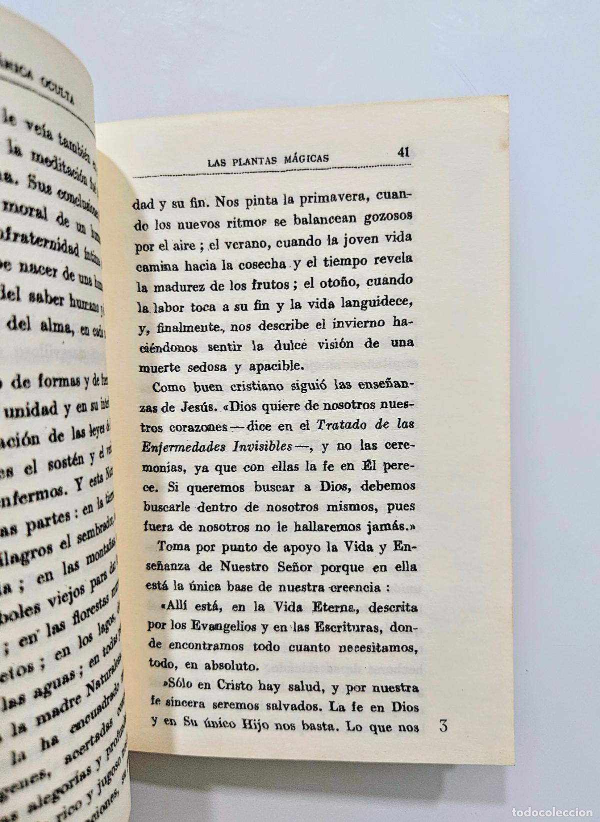 Libros de segunda mano: Las plantas m&aacute;gicas de Rodolfo Putz - Foto 4
