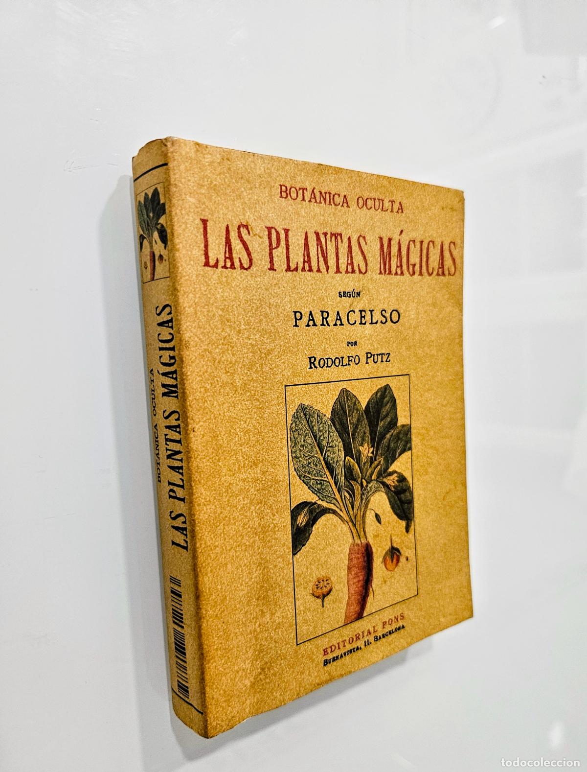 Libros de segunda mano: Las plantas m&aacute;gicas de Rodolfo Putz - Foto 1