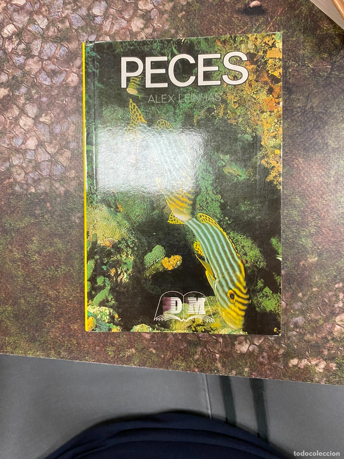 Libros de segunda mano: Peces. Alex Leinhas. - Foto 1