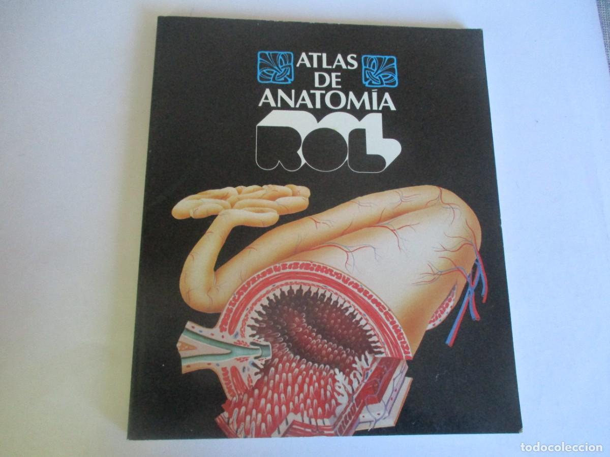 Libros de segunda mano: Atlas de anatom&iacute;a W29279 - Foto 1