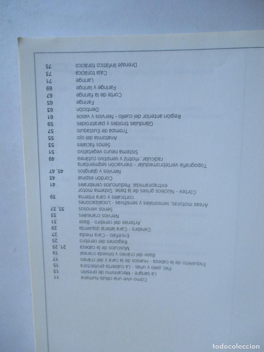 Libros de segunda mano: Atlas de anatom&iacute;a W29279 - Foto 5