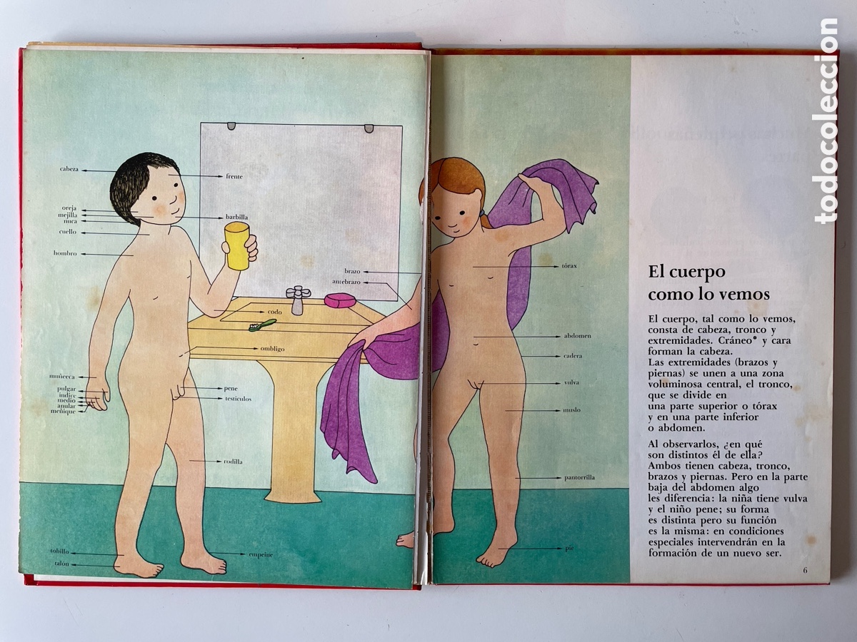 Libros de segunda mano: Libro Tu cuerpo. Santiago Dexeus. 1978. - Foto 3