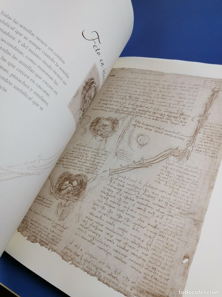 Libros de segunda mano: ESTUDIOS Y DIBUJOS ANAT&Oacute;MICOS - LEONARDO DA VINCI - Foto 13