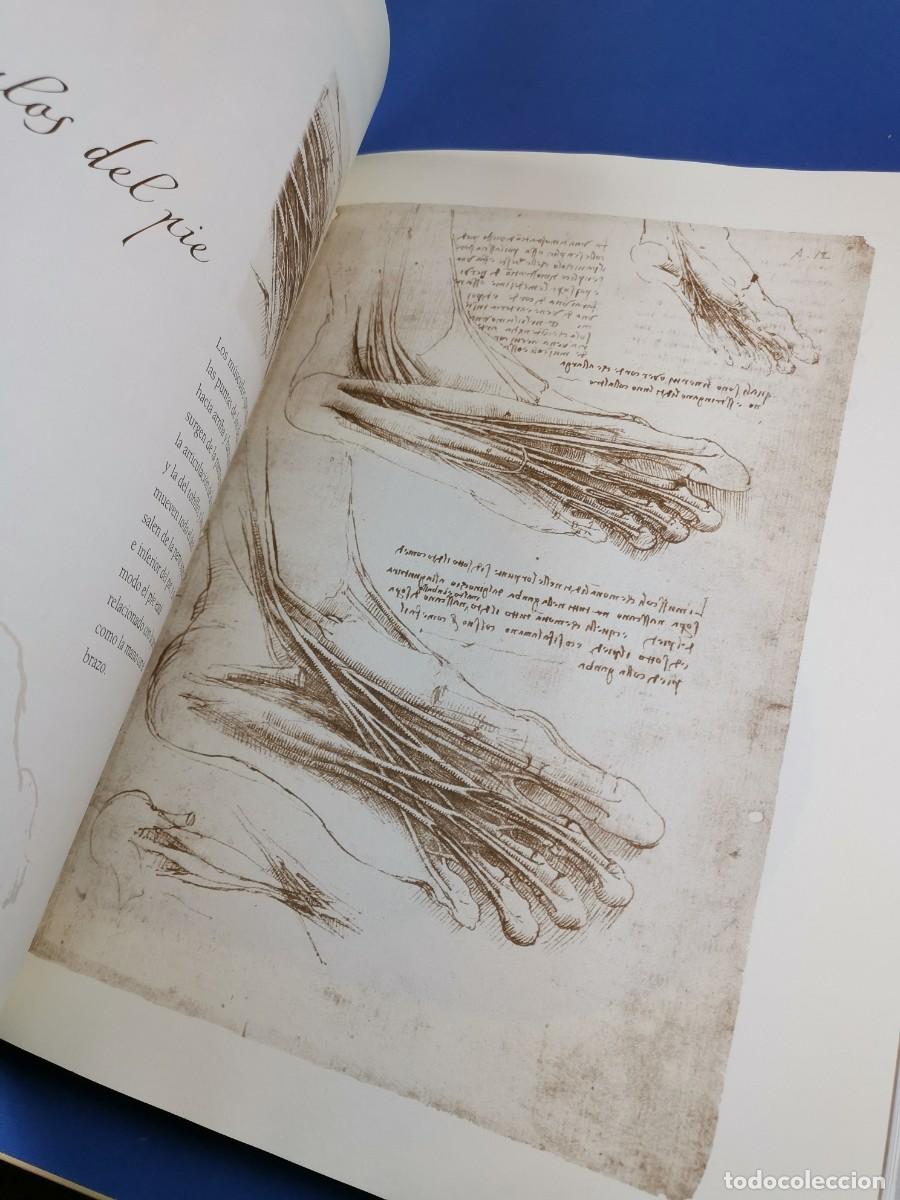 Libros de segunda mano: ESTUDIOS Y DIBUJOS ANAT&Oacute;MICOS - LEONARDO DA VINCI - Foto 20