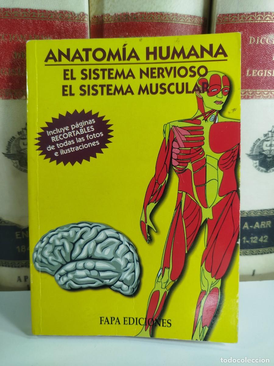 Second hand books: ANATOMIA HUMANA: EL SISTEMA NERVIOSO/ EL SISTEMA MUSCULAR. V.V.A.A.