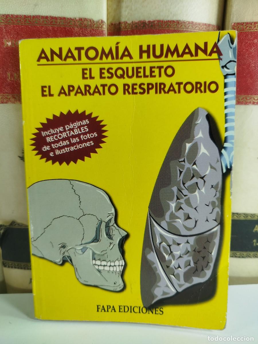 Second hand books: ANATOMIA HUMANA: EL ESQUELETO/ EL APARATO RESPIRATORIO. Dr. X. Rius Cornad&oacute;, Lic. F. Velasco Vet&eacute;s