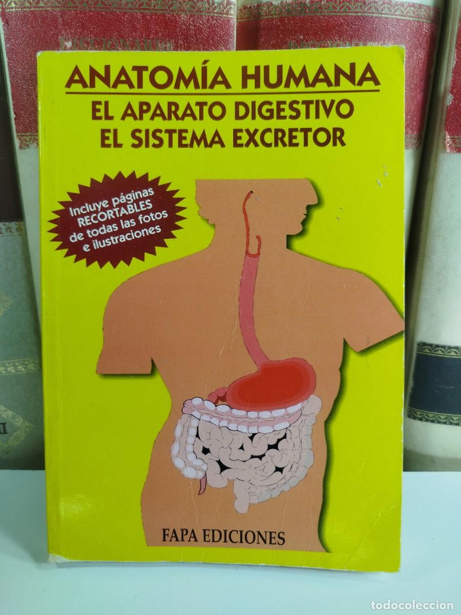 Second hand books: ANATOMIA HUMANA: EL APARATO DIGESTIVO/ EL SISTEMA EXCRETOR. V.V.A.A.