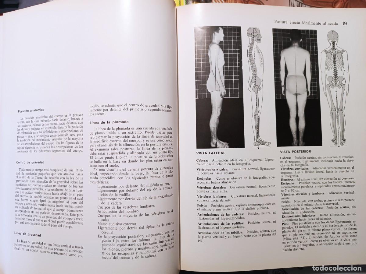 Libros de segunda mano: M&uacute;sculos, pruebas y funciones Kendall y Wadsworth - Foto 4