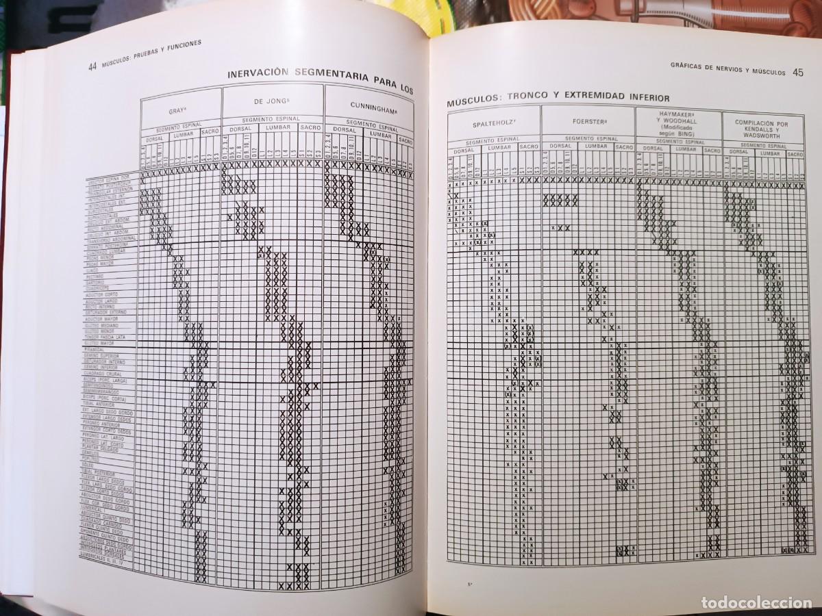 Libros de segunda mano: M&uacute;sculos, pruebas y funciones Kendall y Wadsworth - Foto 5