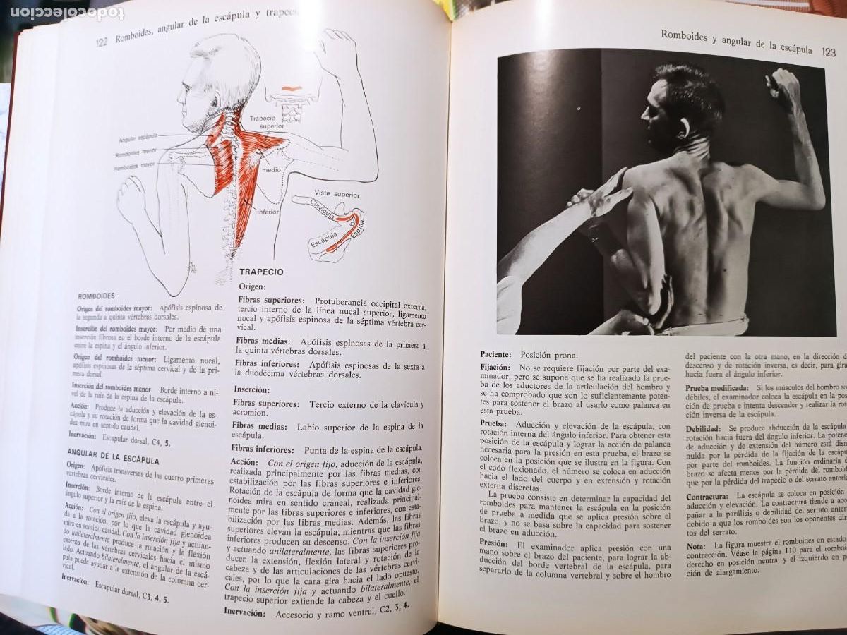 Libros de segunda mano: M&uacute;sculos, pruebas y funciones Kendall y Wadsworth - Foto 7