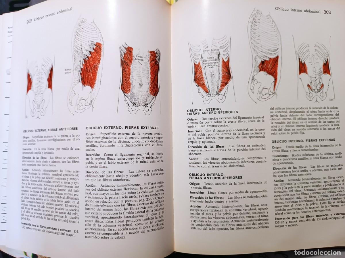 Libros de segunda mano: M&uacute;sculos, pruebas y funciones Kendall y Wadsworth - Foto 8