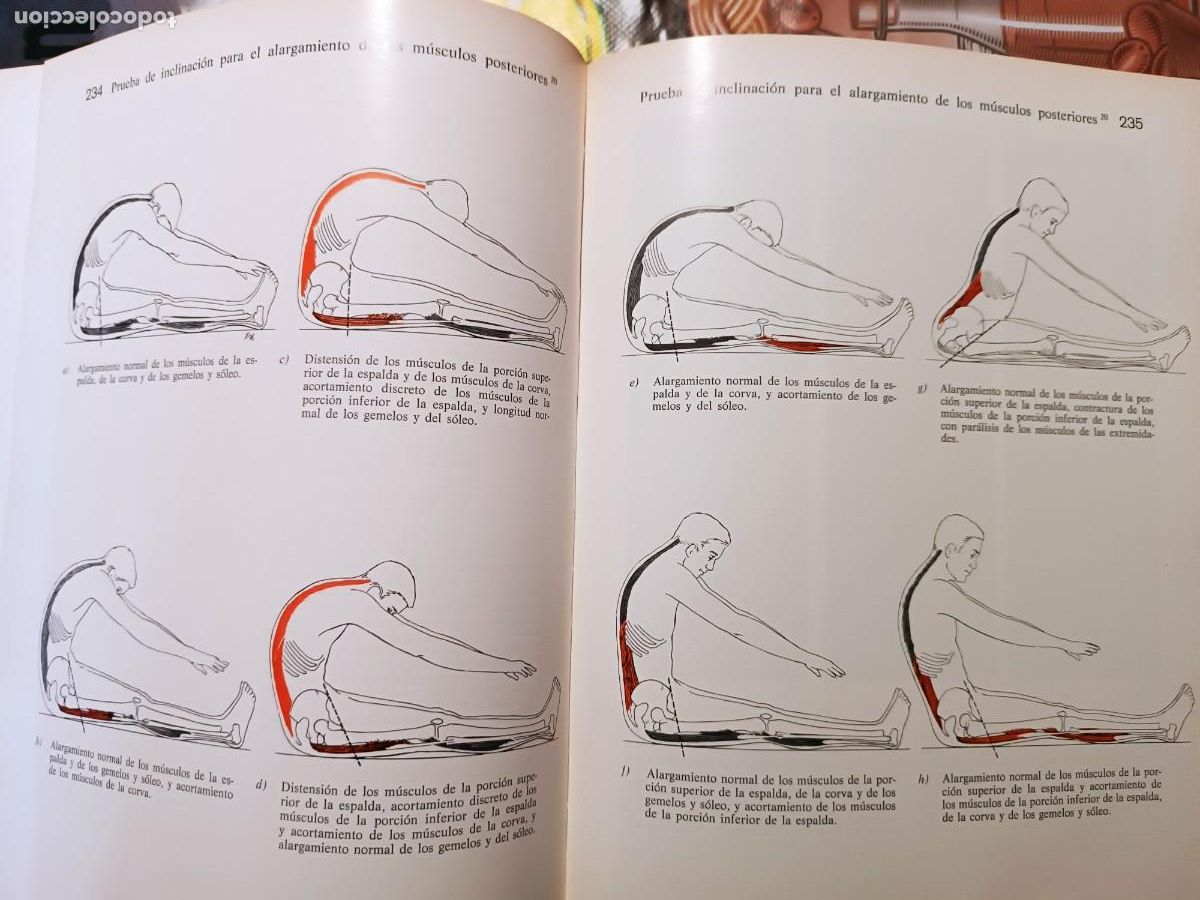 Libros de segunda mano: M&uacute;sculos, pruebas y funciones Kendall y Wadsworth - Foto 9