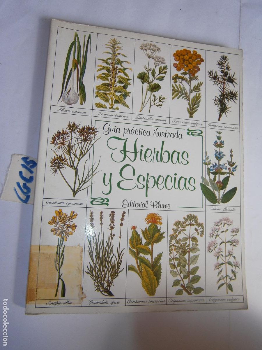 Libros de segunda mano: GUIA PRACTICA ILUSTRADA DE LAS HIERBAS Y ESPECIAS - Foto 1