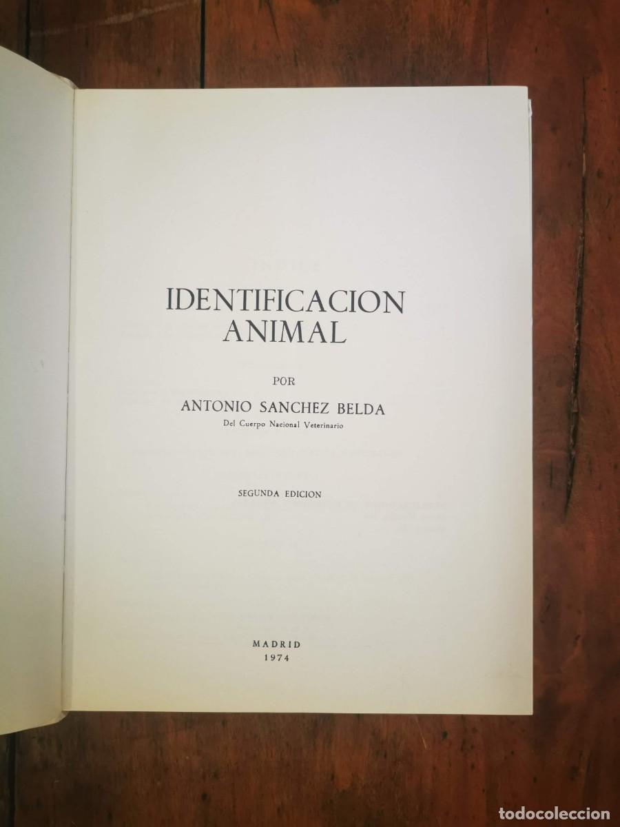 Libros de segunda mano: S&Aacute;NCHEZ BELDA, Antonio. Identificaci&oacute;n animal - Foto 2