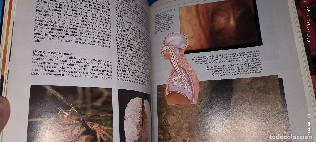 Libros de segunda mano: LIBRO EL CUERPO VIVIENTE - Foto 2