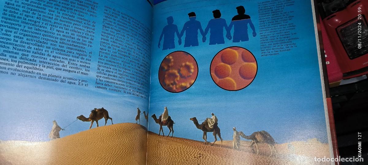 Libros de segunda mano: LIBRO EL CUERPO VIVIENTE - Foto 4
