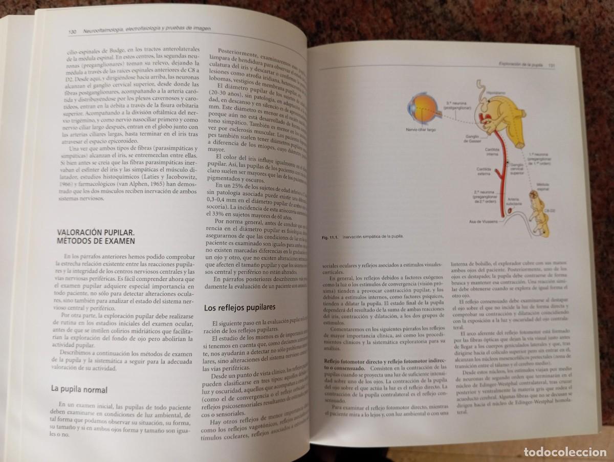 Libros de segunda mano: TECNICAS EXPLORATORIAS EN OFTALMOLOGIA - MENEZO - Foto 3