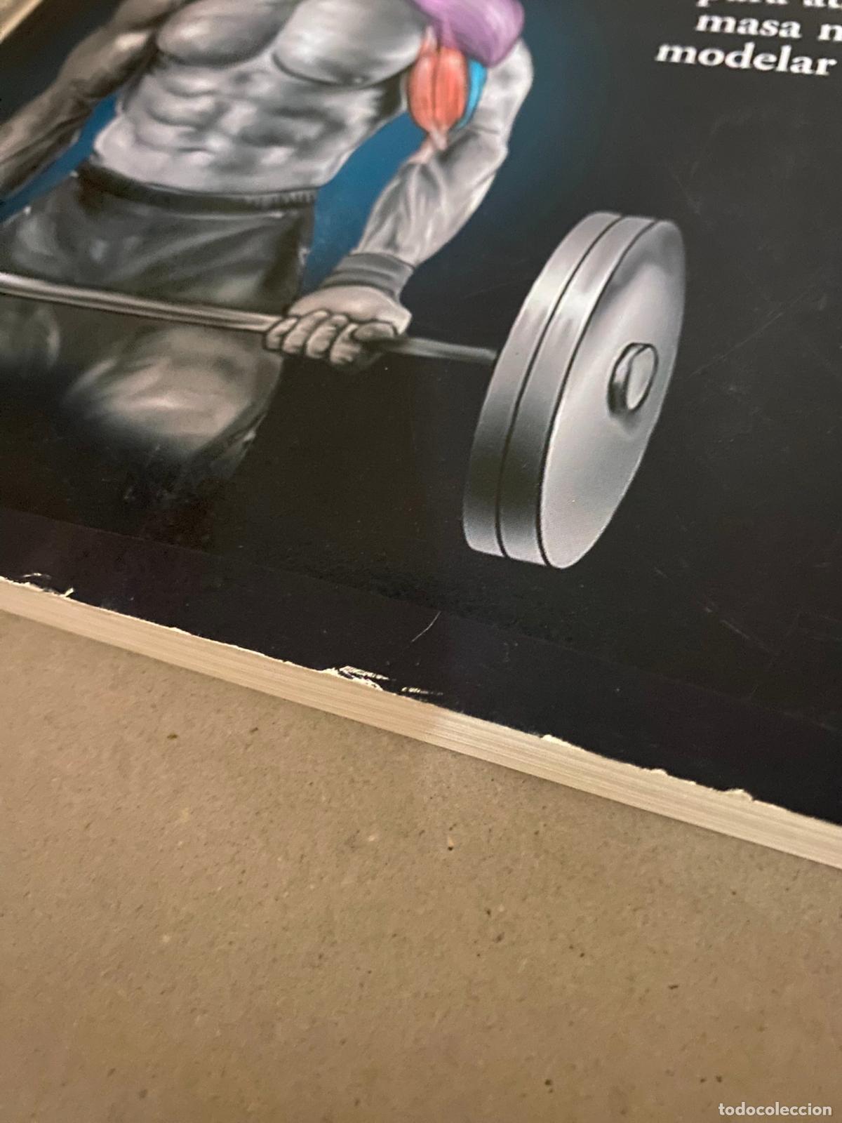 Libros de segunda mano: ANATOMIA DE LA MUSCULACION (NICK EVANS) - Foto 2