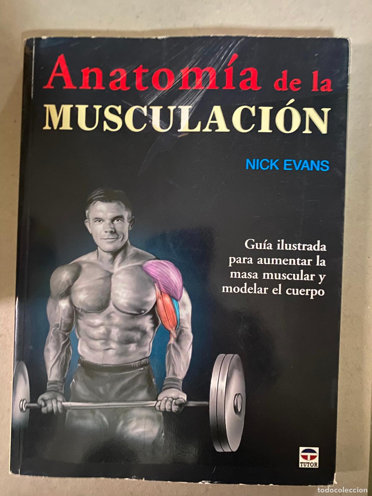 Libros de segunda mano: ANATOMIA DE LA MUSCULACION (NICK EVANS) - Foto 1