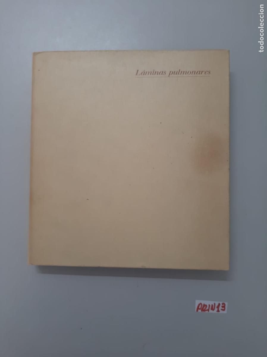 Libros de segunda mano: Libro: l&aacute;minas pulmonares - Foto 1