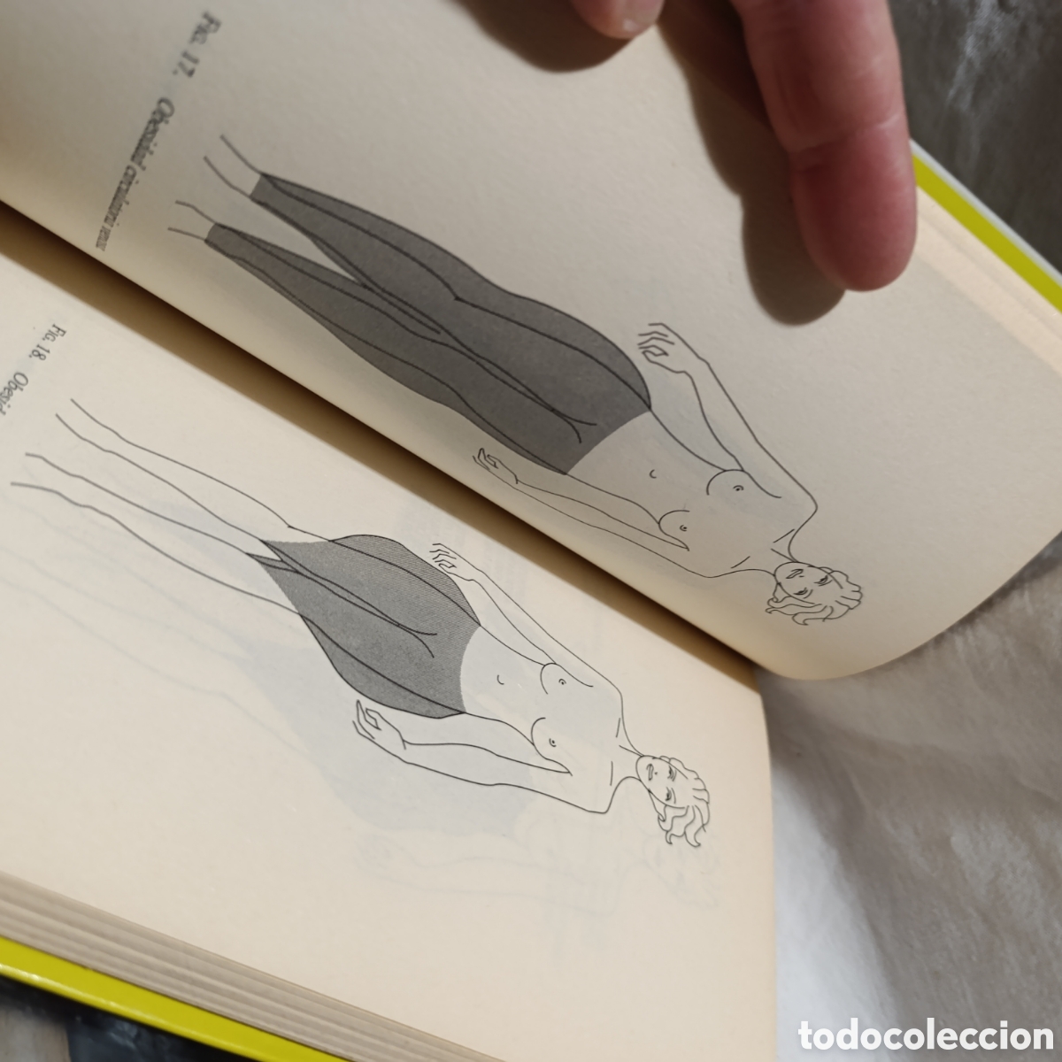 Libros de segunda mano: EL LIBRO DE ORO DE LAS DIETAS - Foto 3