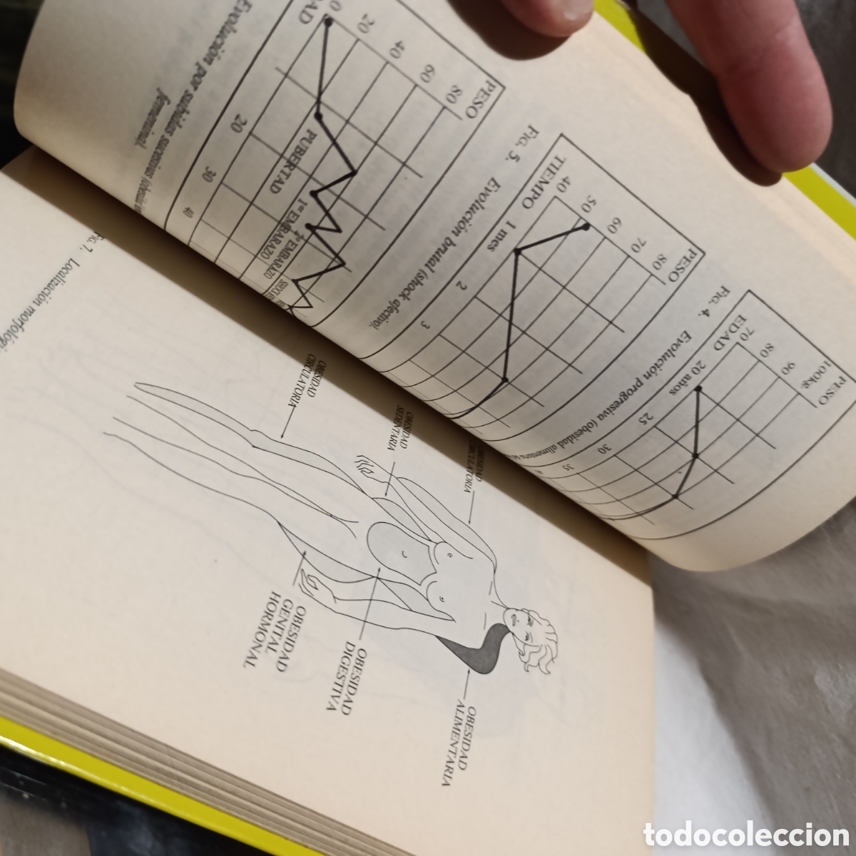 Libros de segunda mano: EL LIBRO DE ORO DE LAS DIETAS - Foto 4