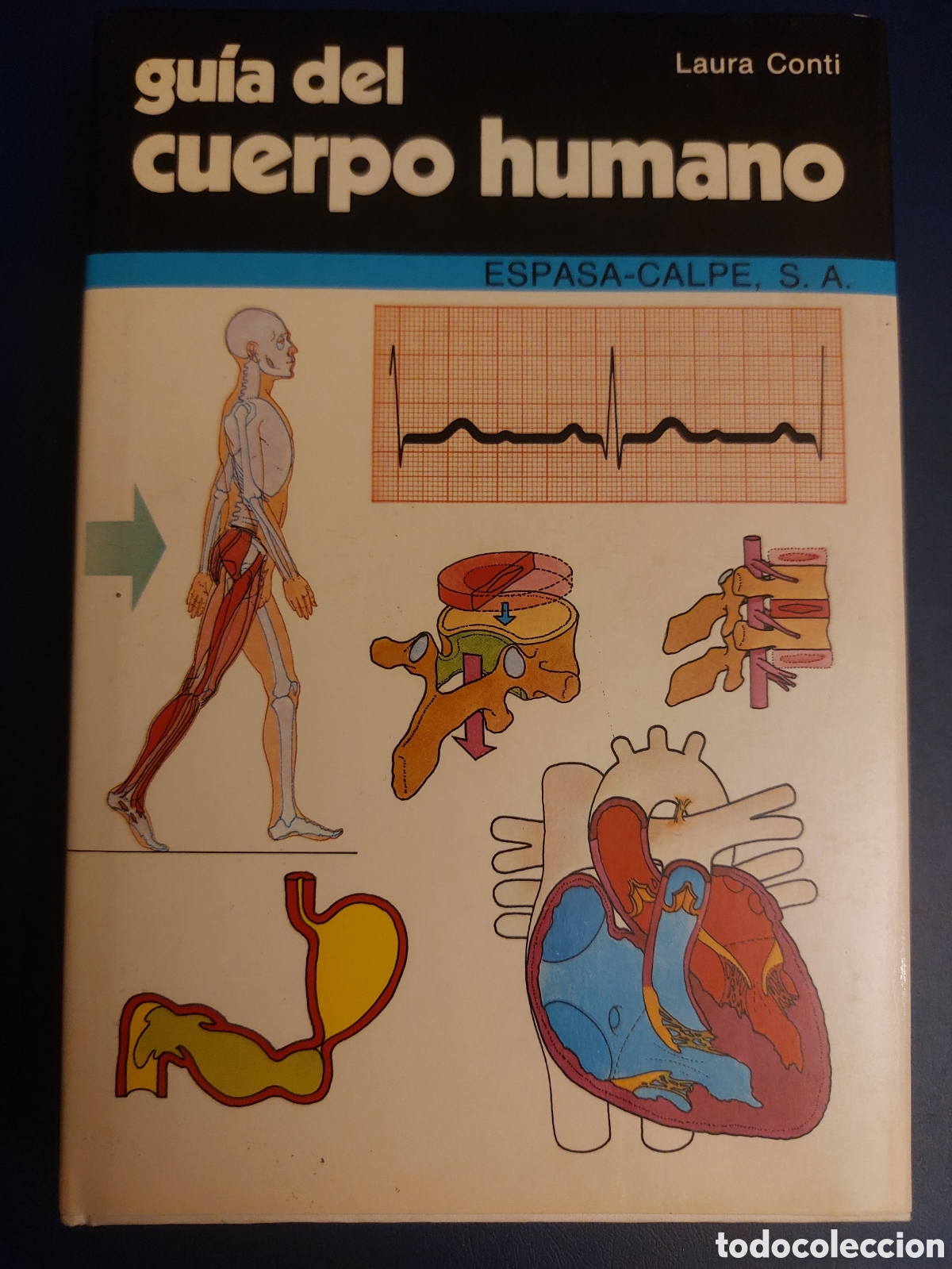 Libros de segunda mano: QUELA LIBRO. GUIA DEL CUERPO HUMANO LAURA CONTI ESPASA-CALPE 1981