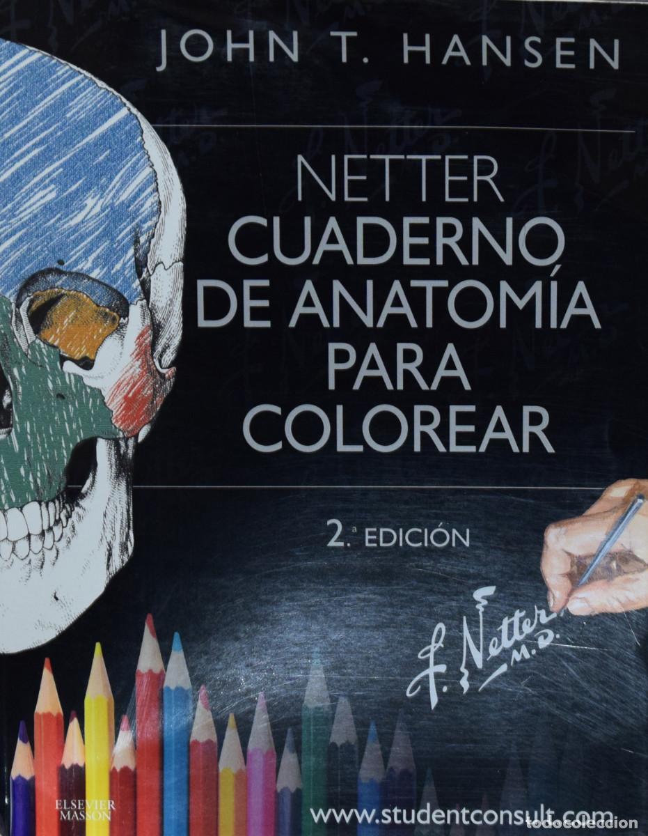 Libros de segunda mano: CUADERNO DE ANATOM&Iacute;A PARA COLOREAR - John T. HANSEN - Foto 1