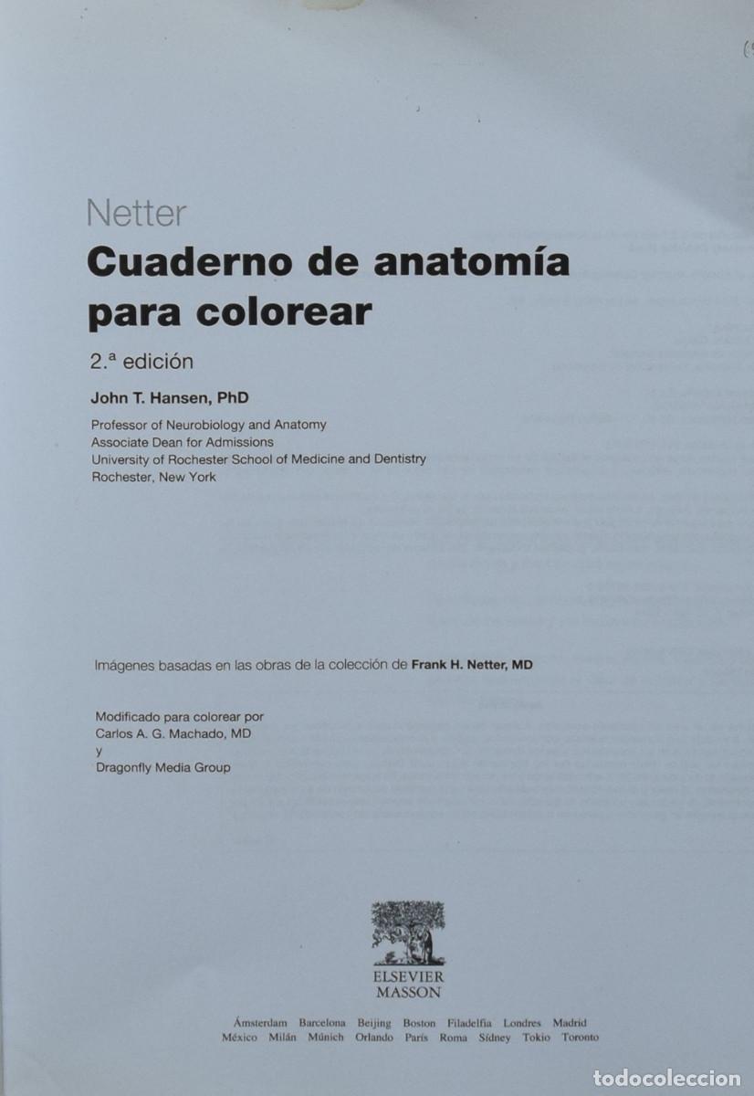 Libros de segunda mano: CUADERNO DE ANATOM&Iacute;A PARA COLOREAR - John T. HANSEN - Foto 2