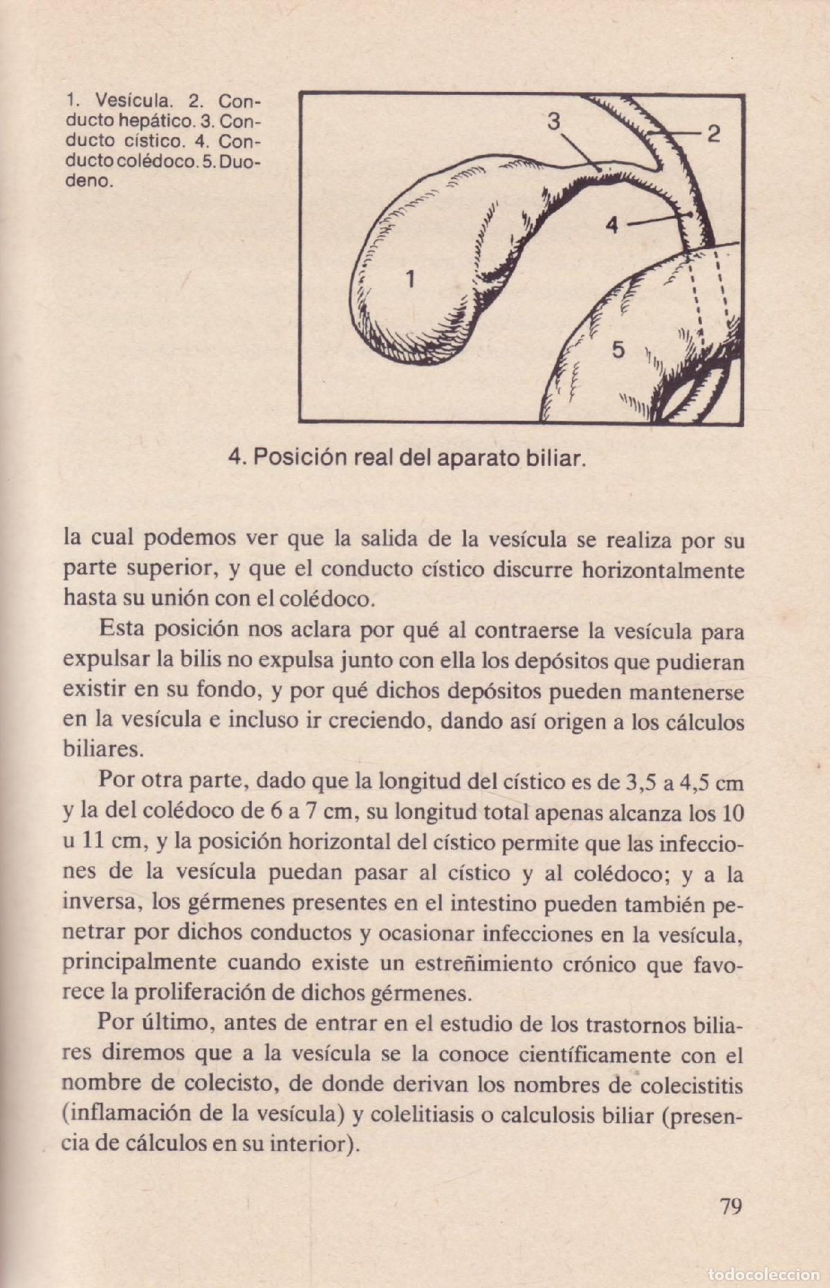 Libros de segunda mano: El higado - Salas, Emilio - Foto 3