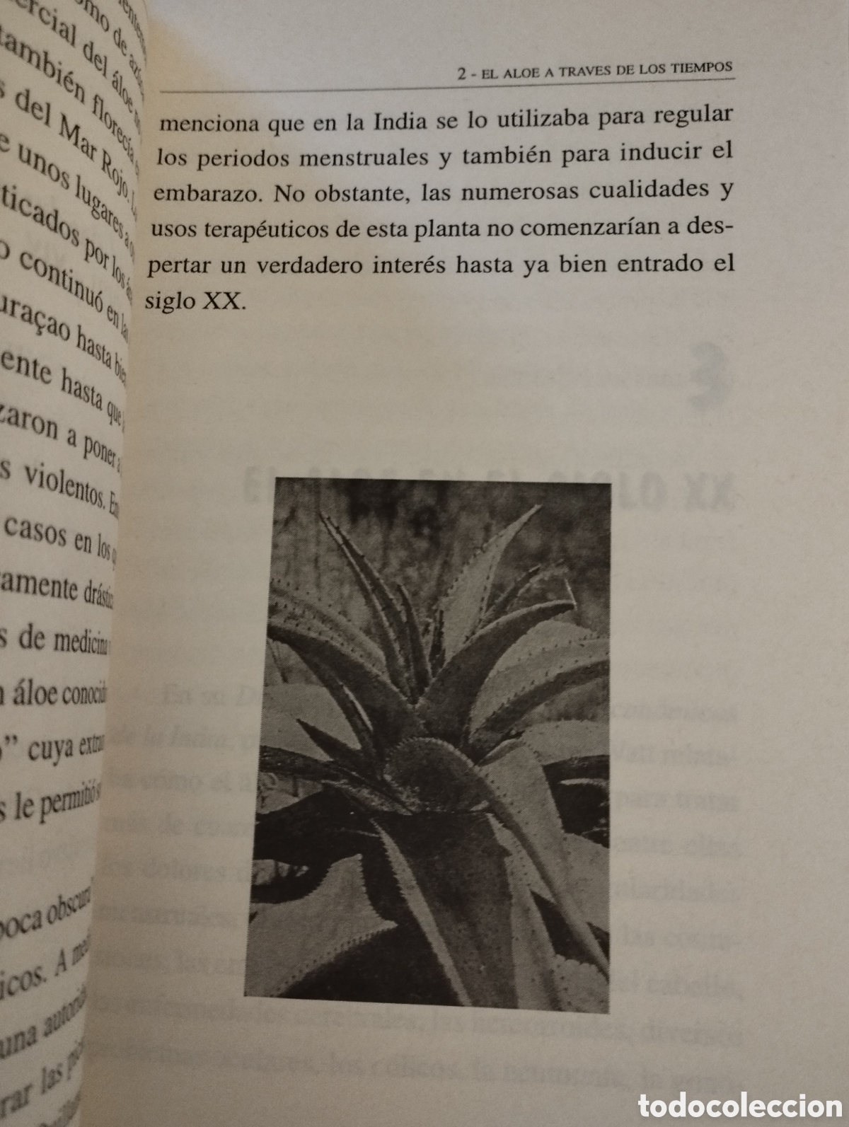 Libros de segunda mano: ALOE VERA (NEIL STEVENS) - Foto 10