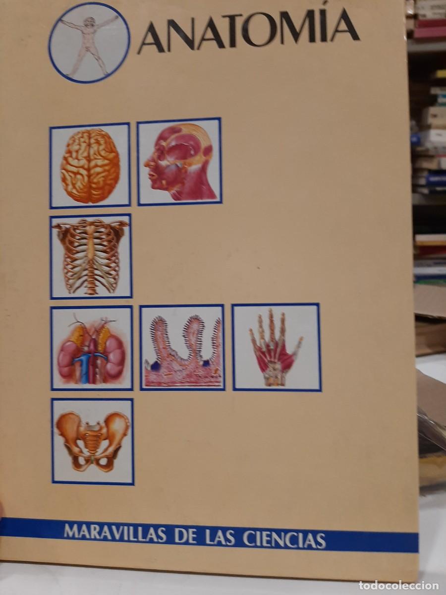 Gebrauchte B&uuml;cher: Xavier Crespo, Nuria Curell y Jordi Curell. Anatom&iacute;a