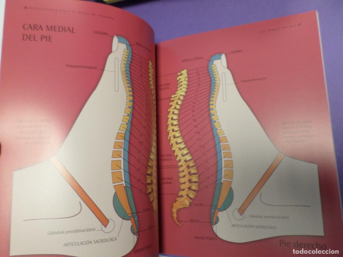 Libros de segunda mano: REFLEXOLOGIA PARA EL DOLOR DE ESPALDA - ANN GILLANDERS - Ann Gillanders - Foto 6