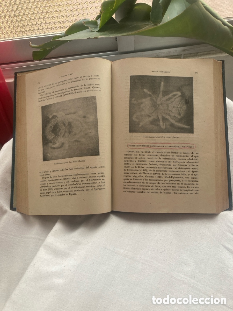 Libros de segunda mano: TRATADO DE EPiDEMIOLOG&Iacute;A - Foto 6