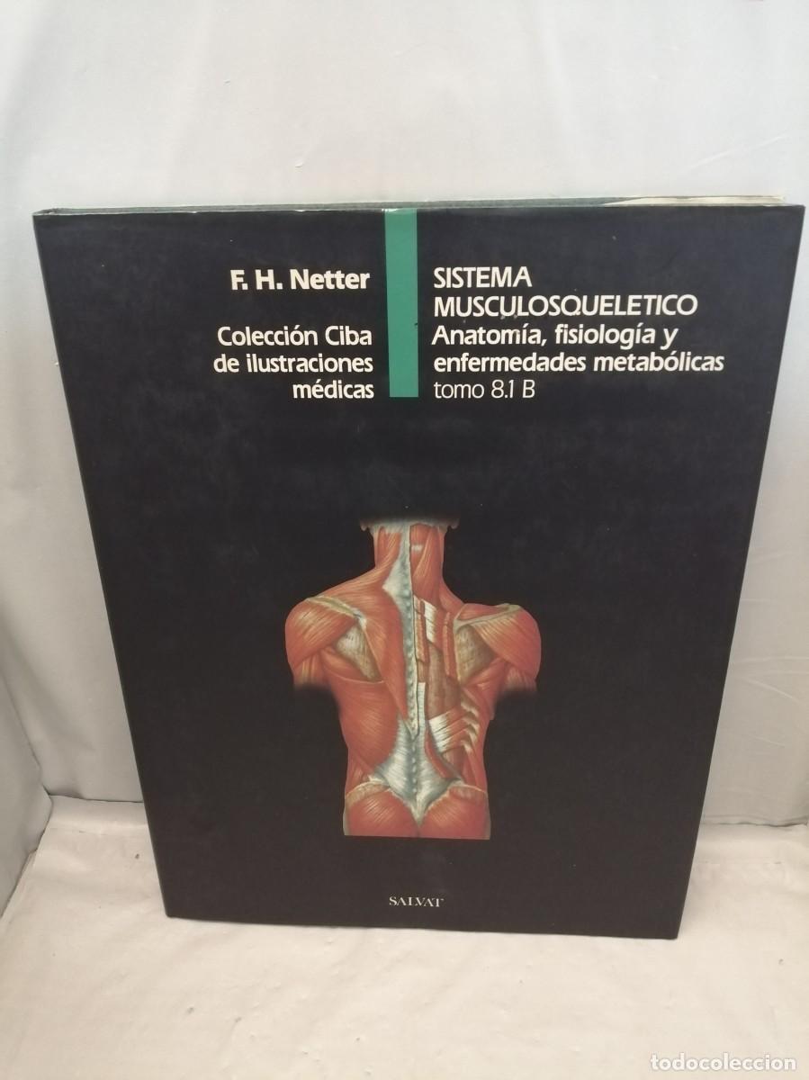 Libri di seconda mano: Colecci&oacute;n Ciba de Ilustraciones M&eacute;dicas: Sistema Musculosquel&eacute;tico, TOMO 8.1 B