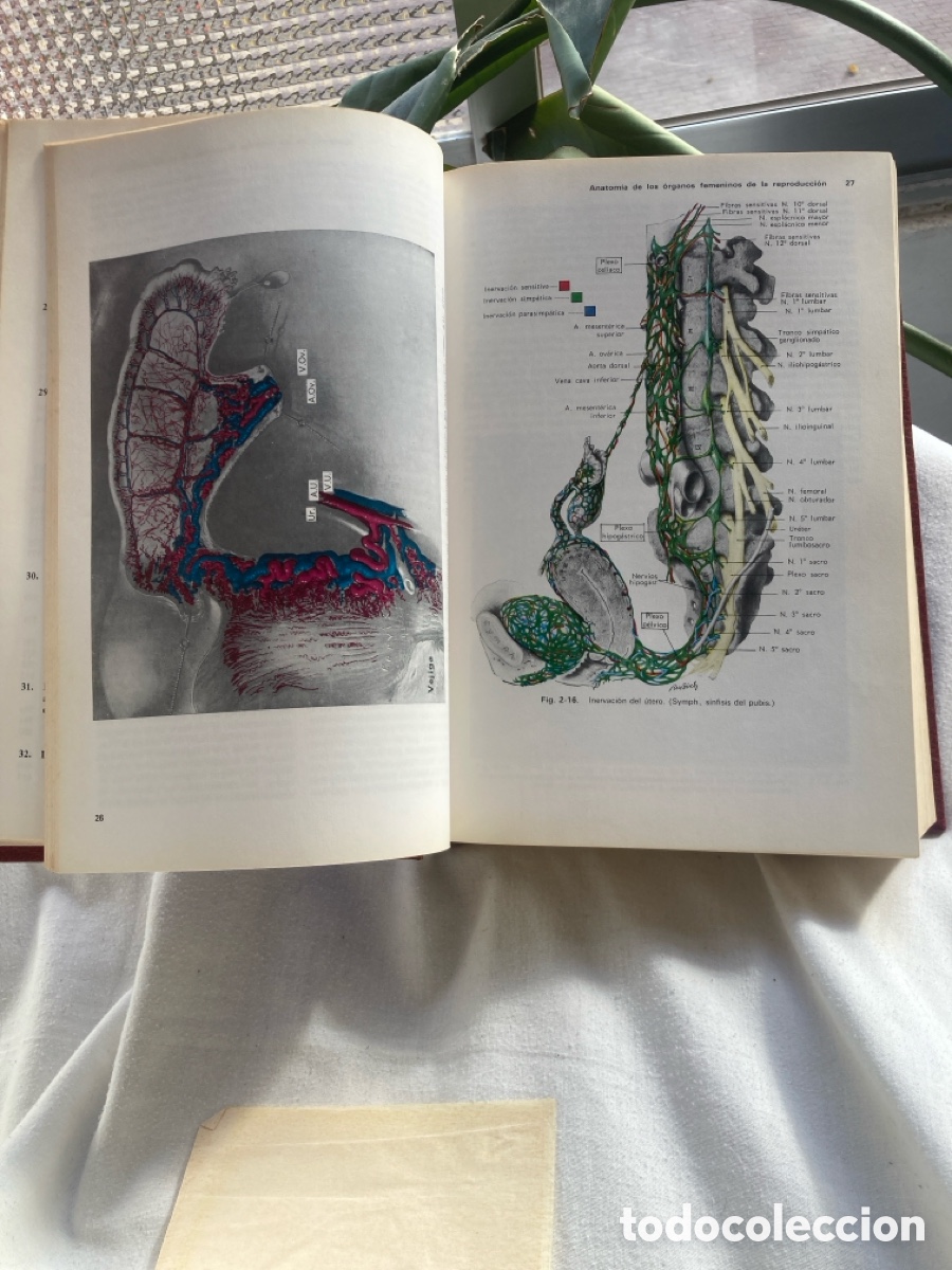 Libros de segunda mano: OBSTETRICA WILLIAMS 2 Edici&oacute;n - Foto 4