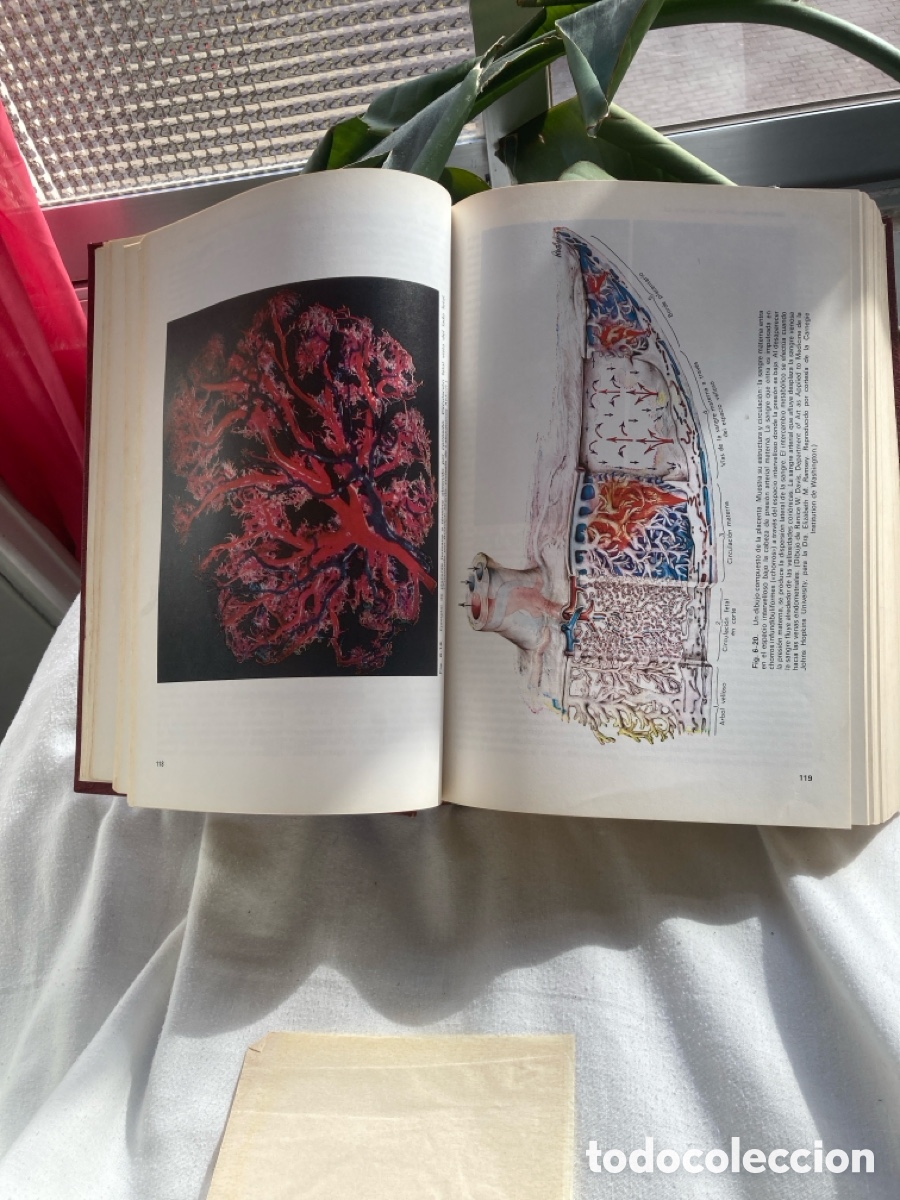 Libros de segunda mano: OBSTETRICA WILLIAMS 2 Edici&oacute;n - Foto 5